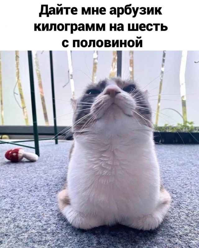 Так себе картинки 09.08.2021
