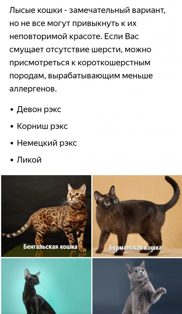Мой самый первый КОТовторник!
