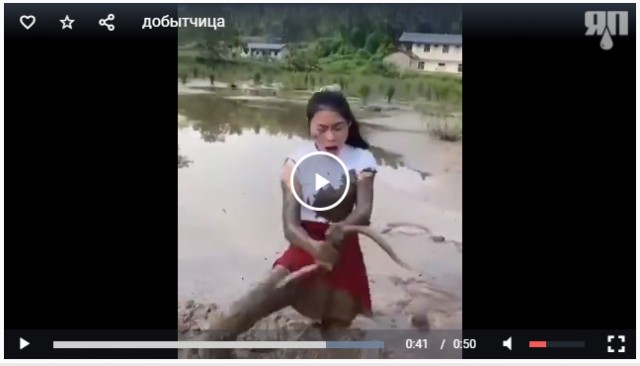 Добытчица
