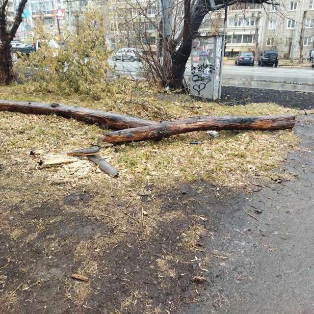 К теме про поход в "Светофор" через фазенды