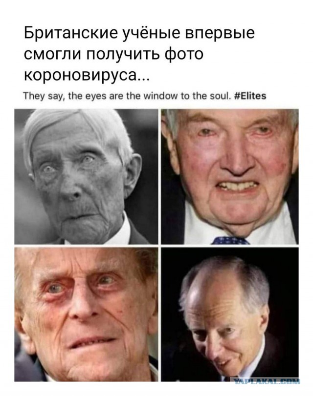 Зомби-апокалипсис 2022