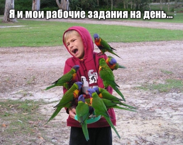 Всяческие картинки 29.11.2021