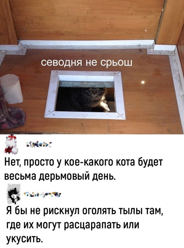 Так себе картинки 01.05.22