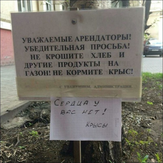 50 оттенков серого.  Vol.10 Или самосвал баянов.  50 штук.
