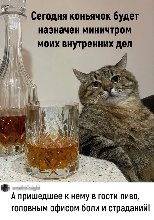 Так себе картинки 26.05.22