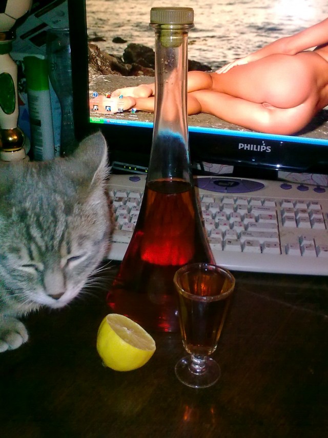 Меня бросил муж