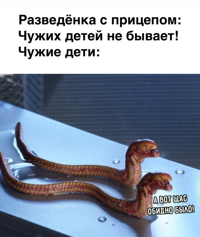 Чуток картинок 26.07.22
