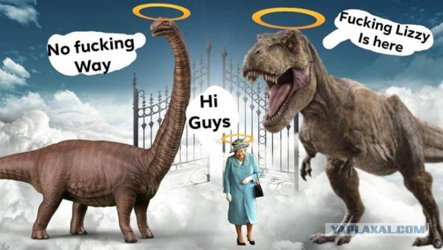 На злобу дня