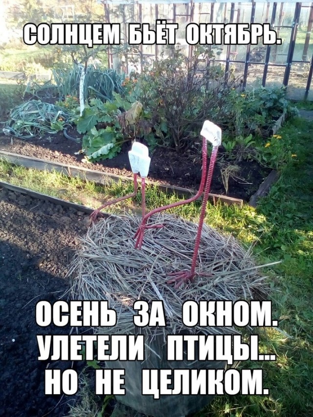 Так себе картинки 10.09.22