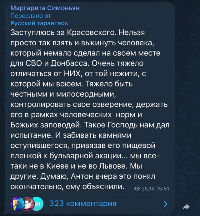 Так выглядит "задняя" от Симоньян