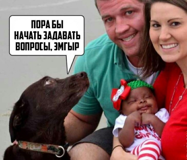 Народная меДИЧина 5010