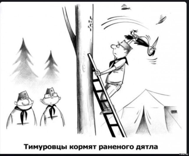 Так себе картинки 17.11.22