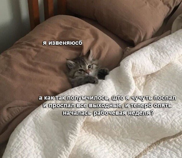 25 картинок
