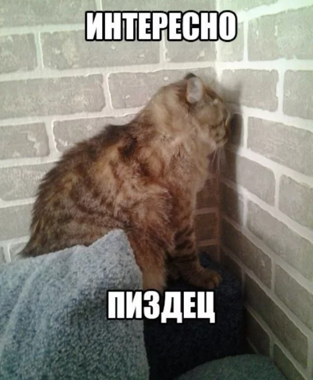 "Любовь и голуби". Именно Надюха виновата в измене Василия!