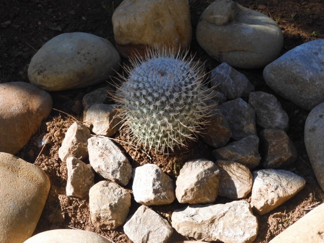 Одинокая женщина желает познакомиться. Часть 2. Свидания.