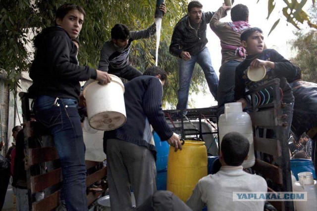 Есть ли жизнь в Алеппо?