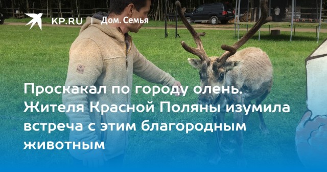 «Я человеком был, а стал таксистом»: бизнесмен обвинил красотку-гонщицу в своих многомиллионных долгах