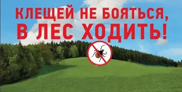 Победная поступь идиотизма по планете – том 12