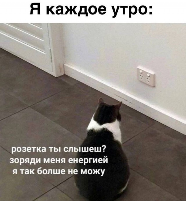 Картинки весёлые, вроде