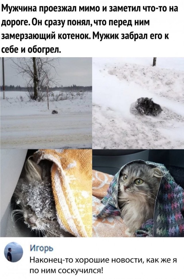 Скриншоты и комментарии из социальных сетей 12.06.23