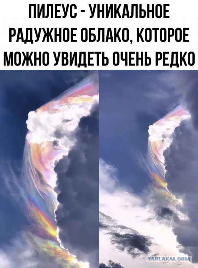 Улыбательные картинки...
