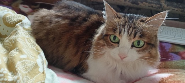 Котя моя. Ну и пусть собакочетверг!