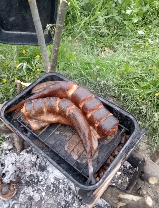 Рыбалка. Река Десна