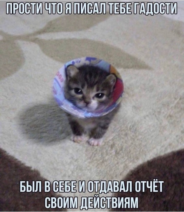 Всего понемногу. От 29.09.2023