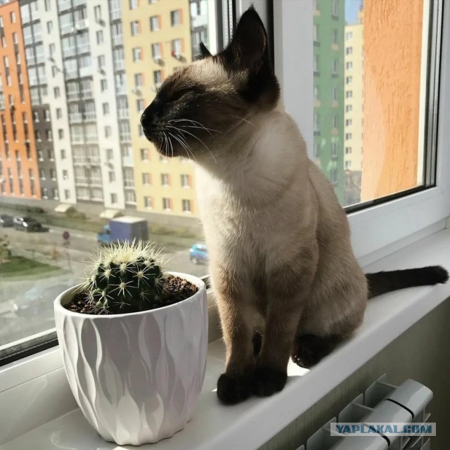 "Дальнобойщики — они до бабы голодные всегда". Исповедь проститутки