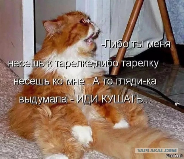 "Дальнобойщики — они до бабы голодные всегда". Исповедь проститутки