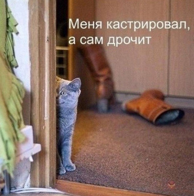 Всего понемногу. От 11.12.23