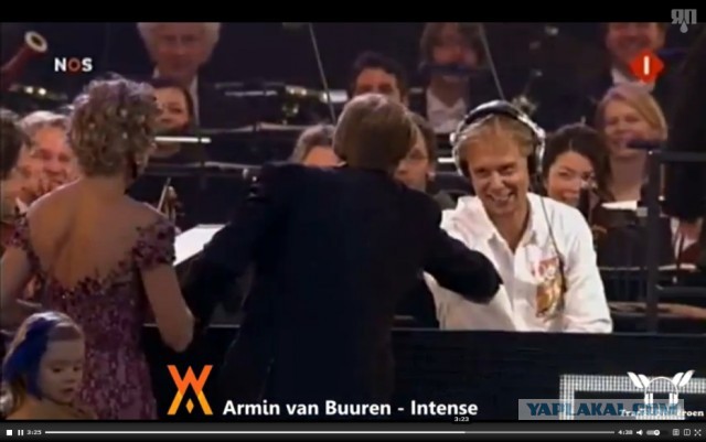 Такое может быть только в Голландии