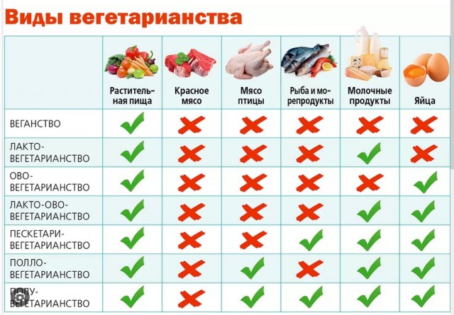 Семья веганов сдает анализы. Комменты огонь