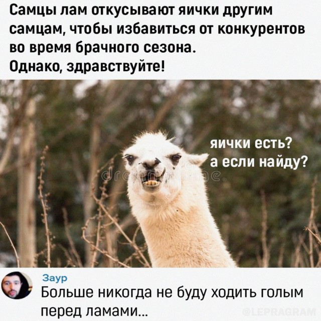 Завалялось тут случайно немного забавных картинок