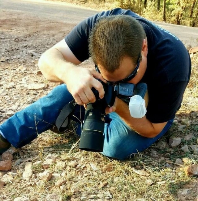 Пчелы, уснувшие в цветке: история одного фотоснимка