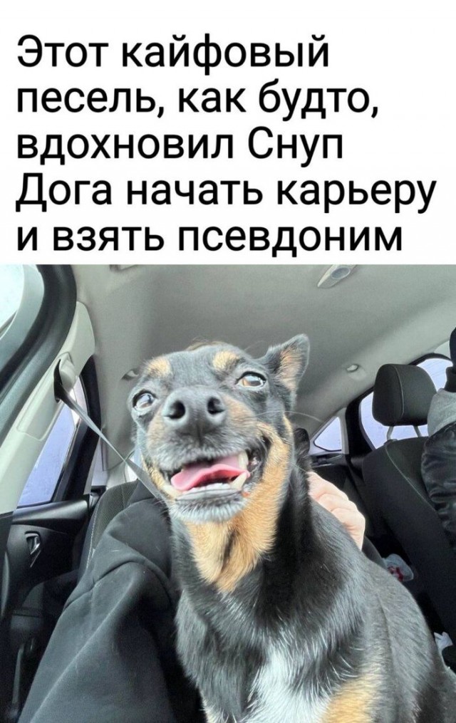 Завалялось тут случайно немного забавных картинок