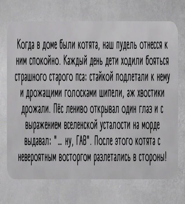 Так себе картинки 02.11.24