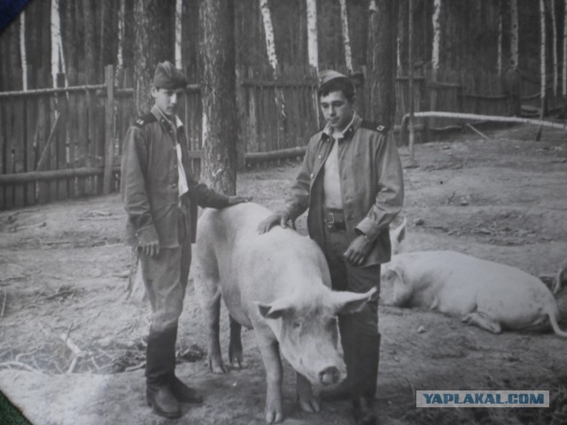 Фотографии из прошлого нашей страны – 97