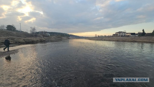 Волга: вместо половодья - обмеление.