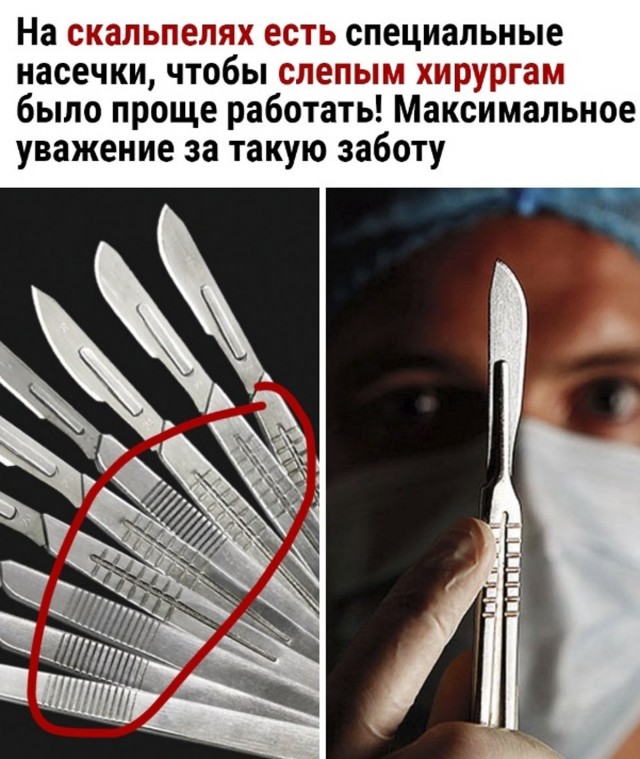 Весёлый полтишок 16.04 25.