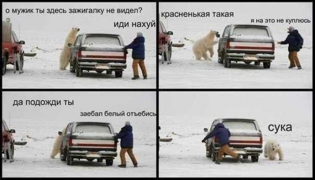 Этот утренний мишка бодрит лучше любого кофе