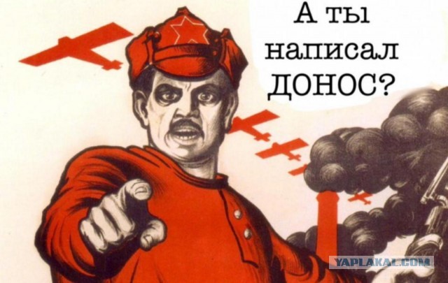 166 доносов Мизулиной.
