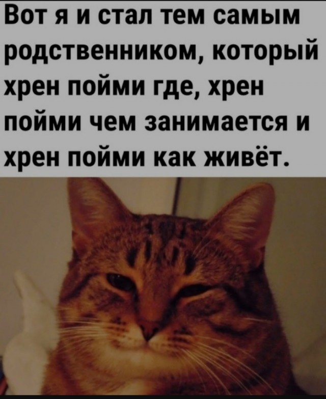 Так себе картинки 14.06.25