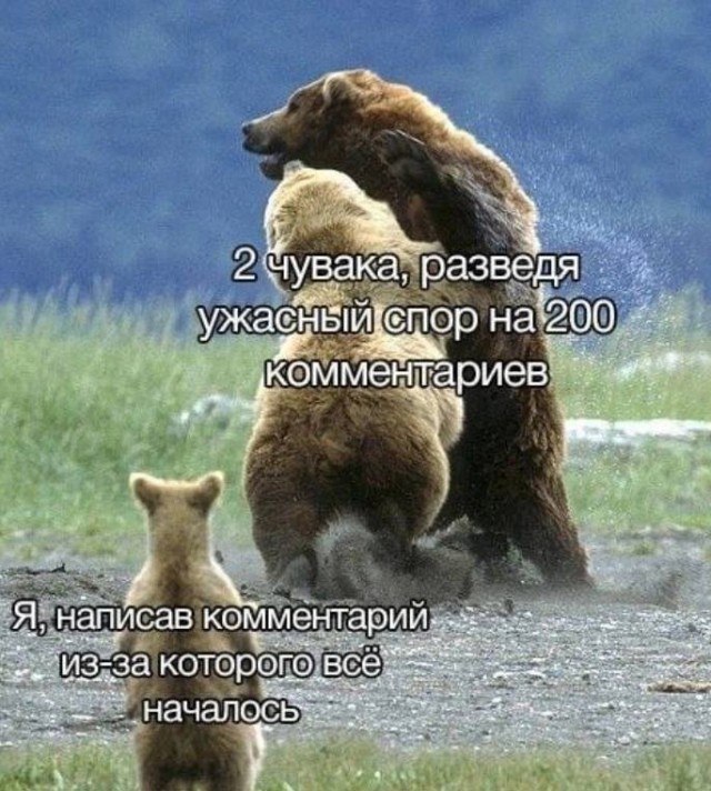 Так себе картинки 26.06.25