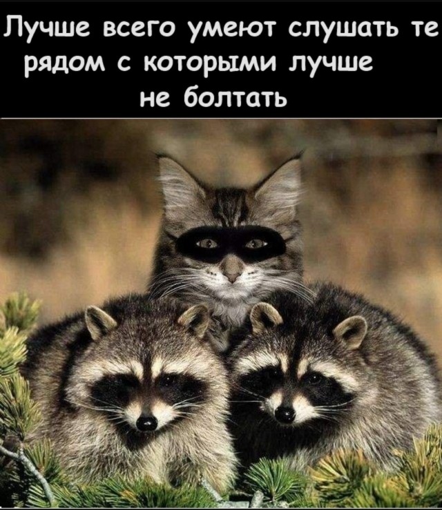 Завалялось тут случайно немного забавных картинок