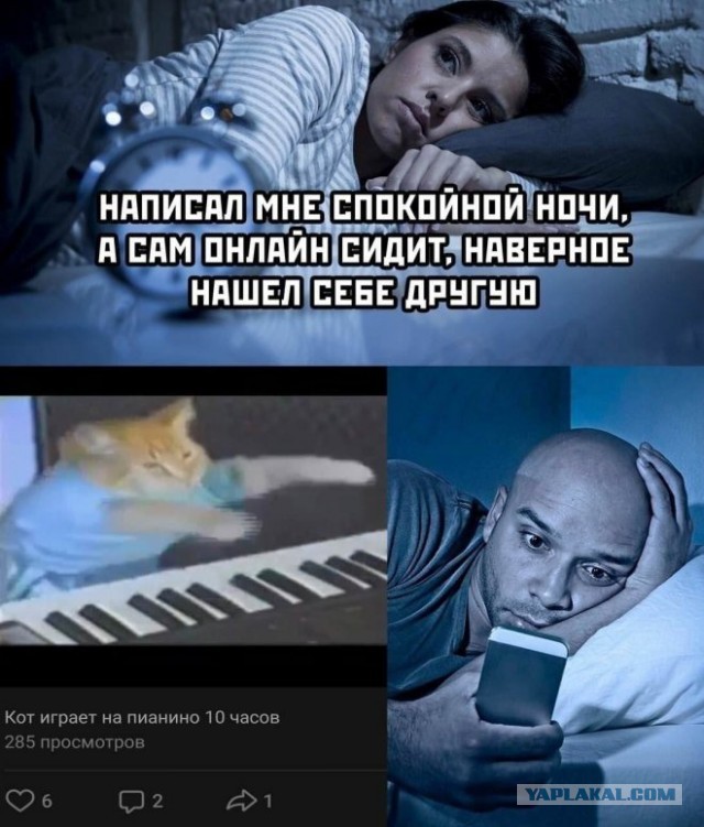 Веселые картинки в пятницу (15.08)