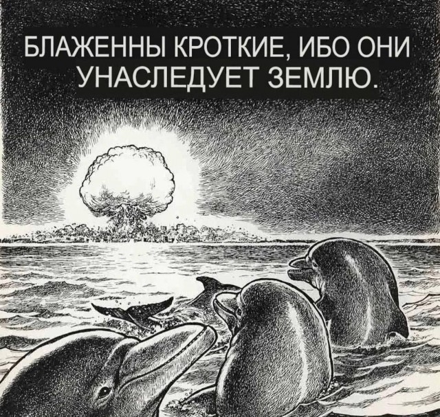 Так себе картинки 19.08.25