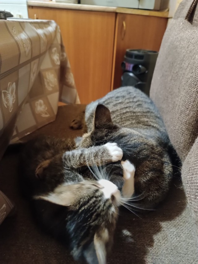 Бомбочка для ванной