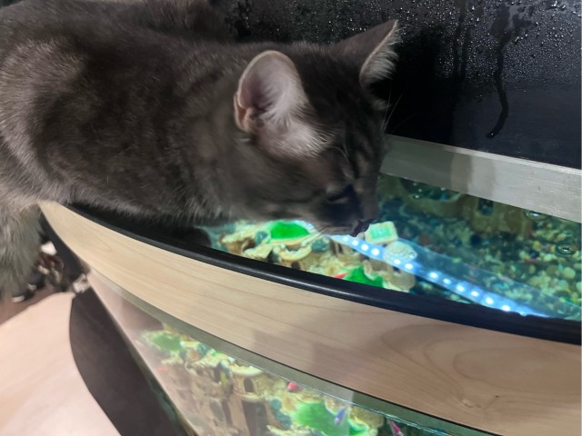 Почему то сегодня на хвост не идёт ловля?‍♂️