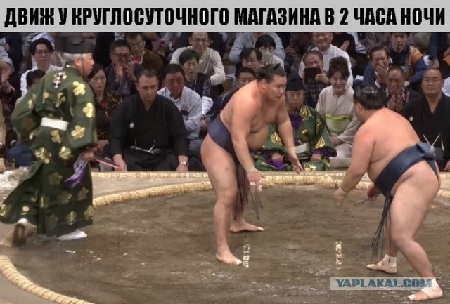 Так себе картинки 15.11.25